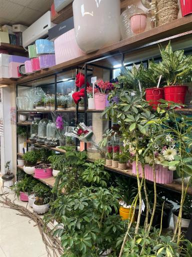 عکس گل فروشی افشین 