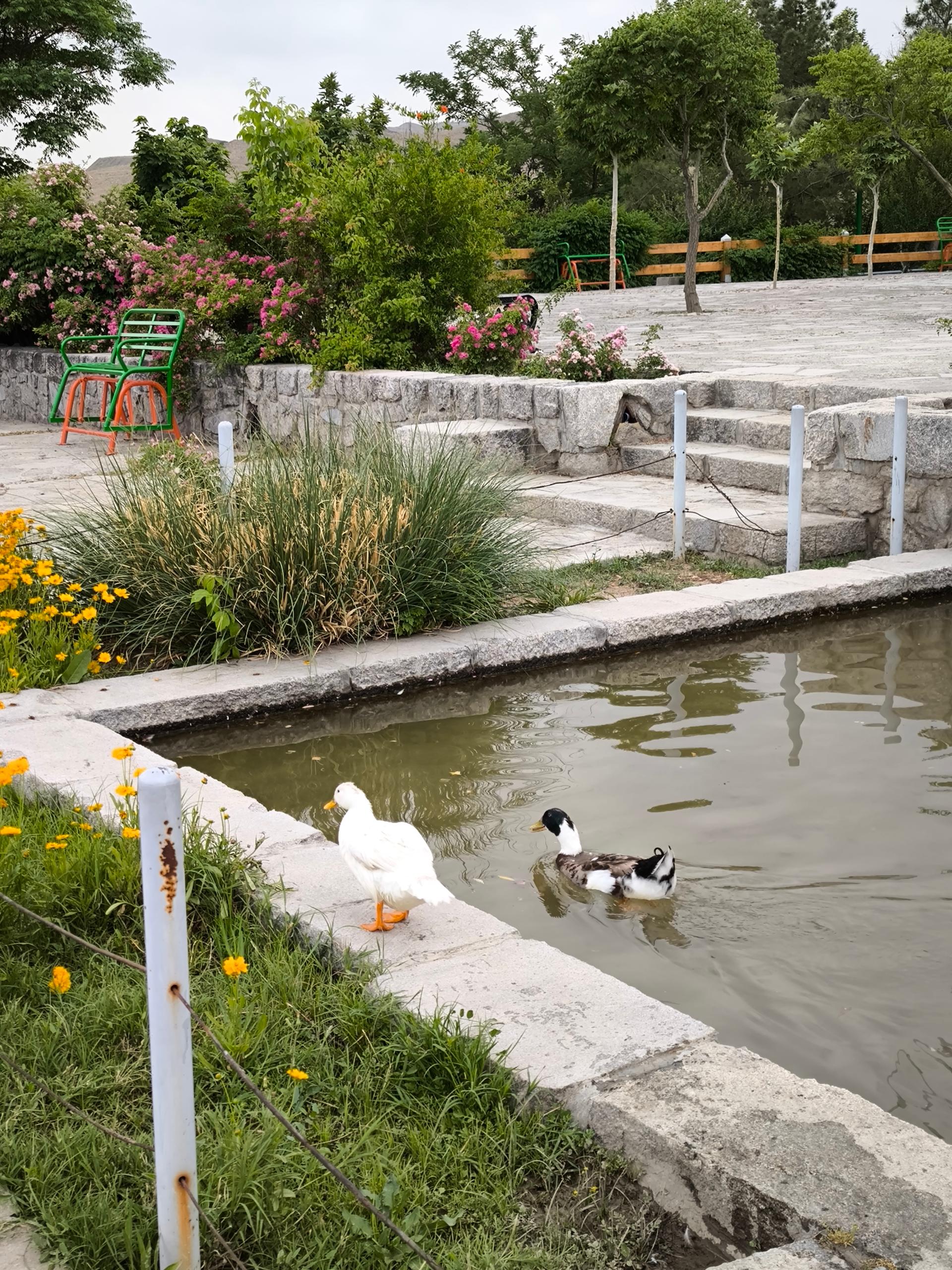 عکس آبشار پارک وکیل باد