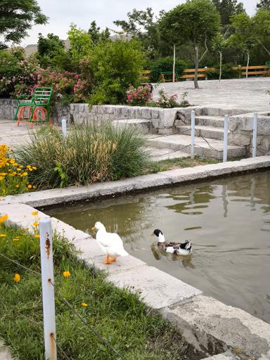 عکس آبشار پارک وکیل باد