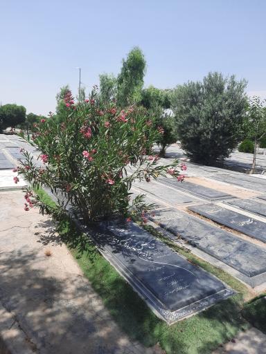 عکس قطعه 312