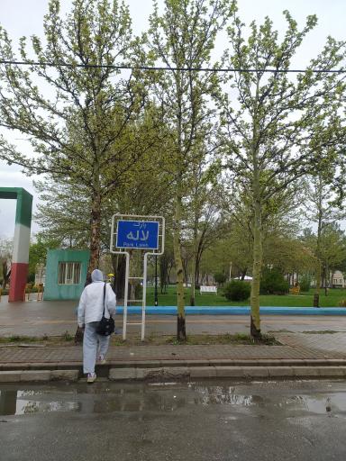 عکس گلبهار