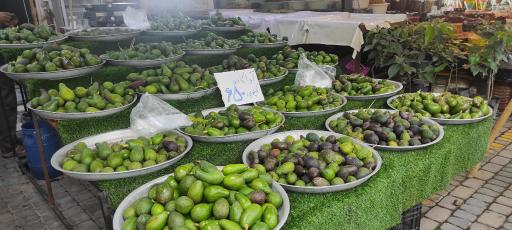 عکس بازارچه سنتی میوه و تره بار شهرداری نوشهر