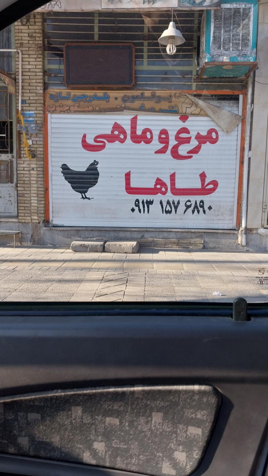 عکس مرغ و ماهی طاها