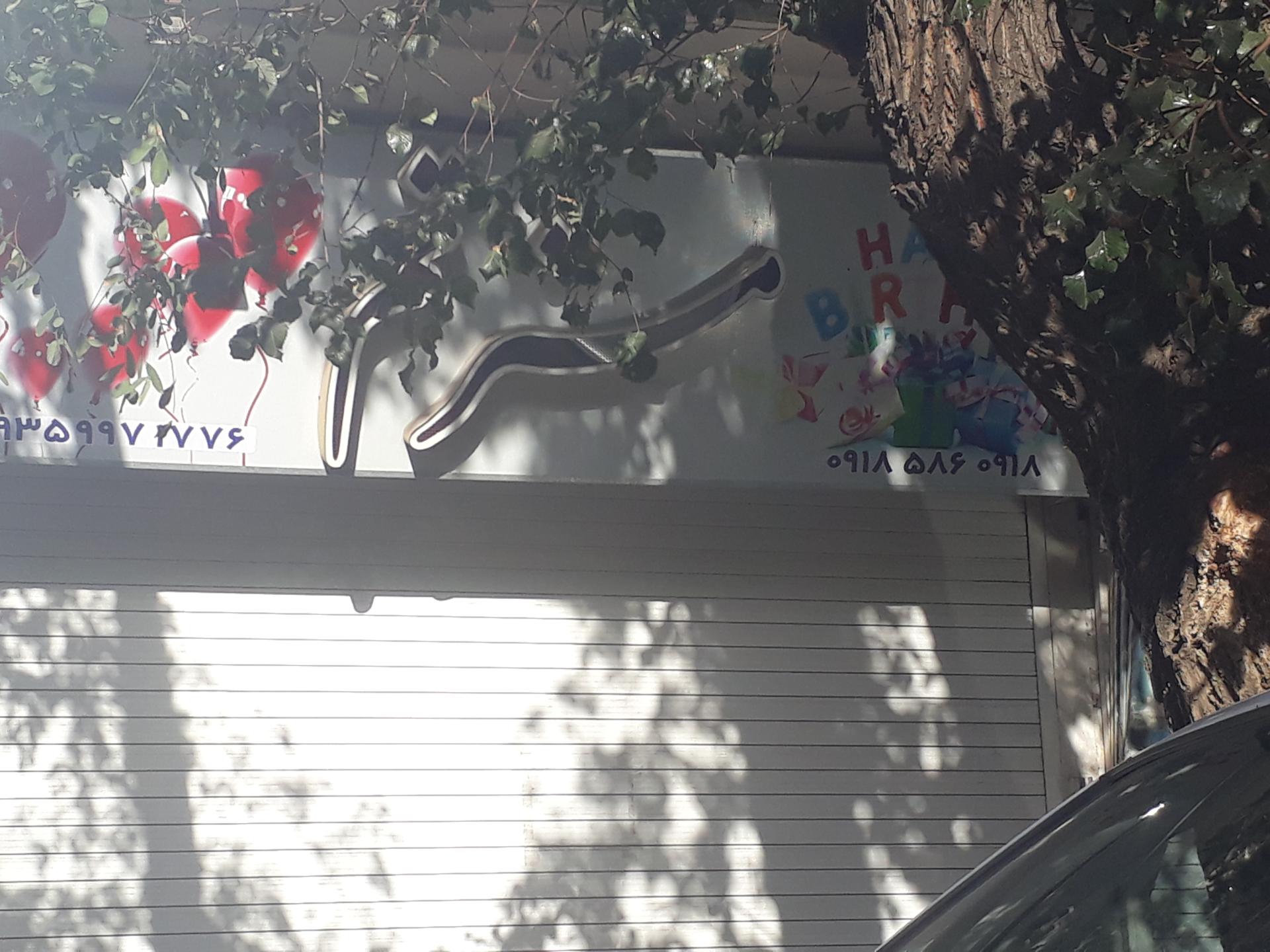 عکس مستر تم