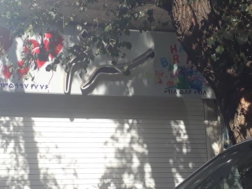 عکس مستر تم