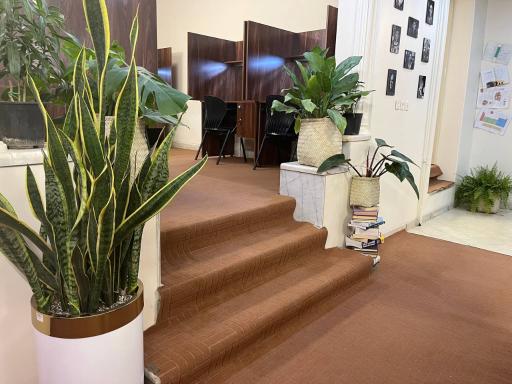 عکس سالن مطالعه جوان