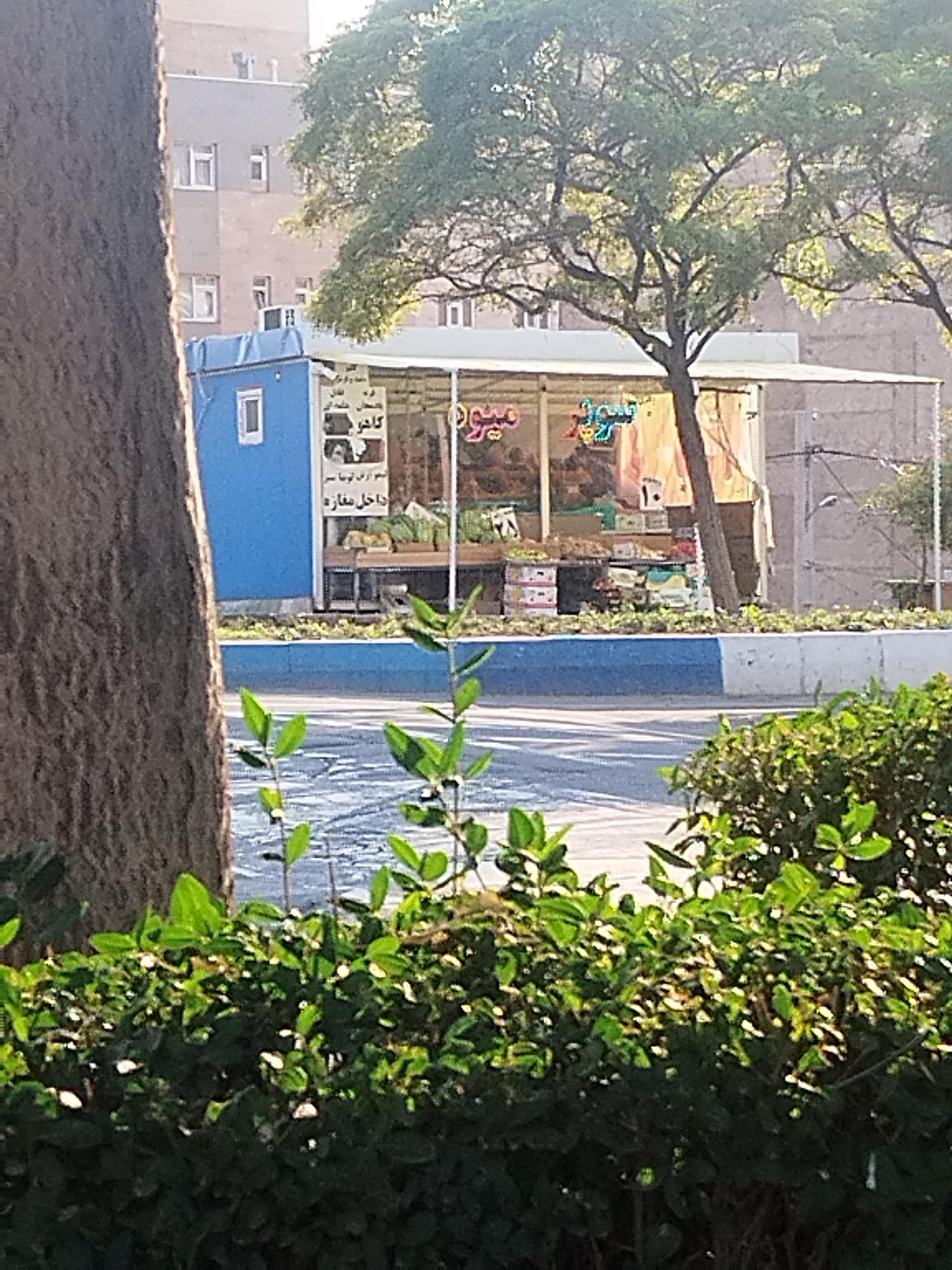 عکس میوه فروشی