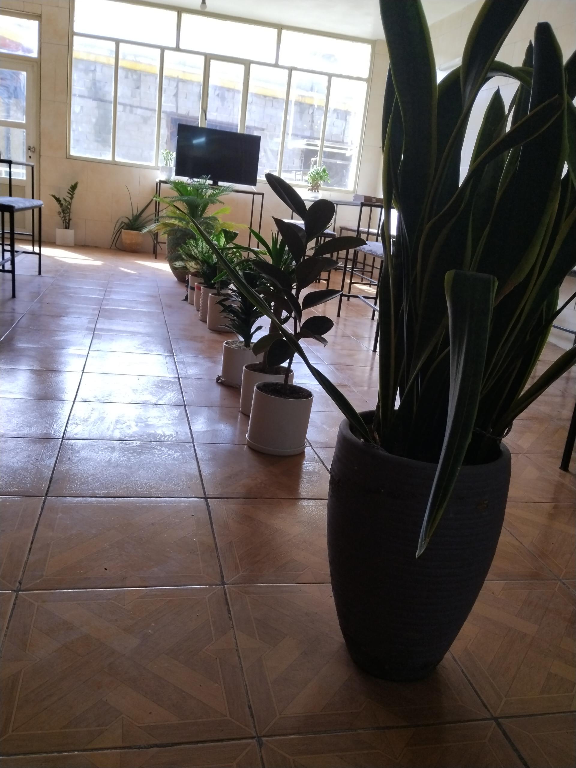 عکس سرای سنتی شهریار