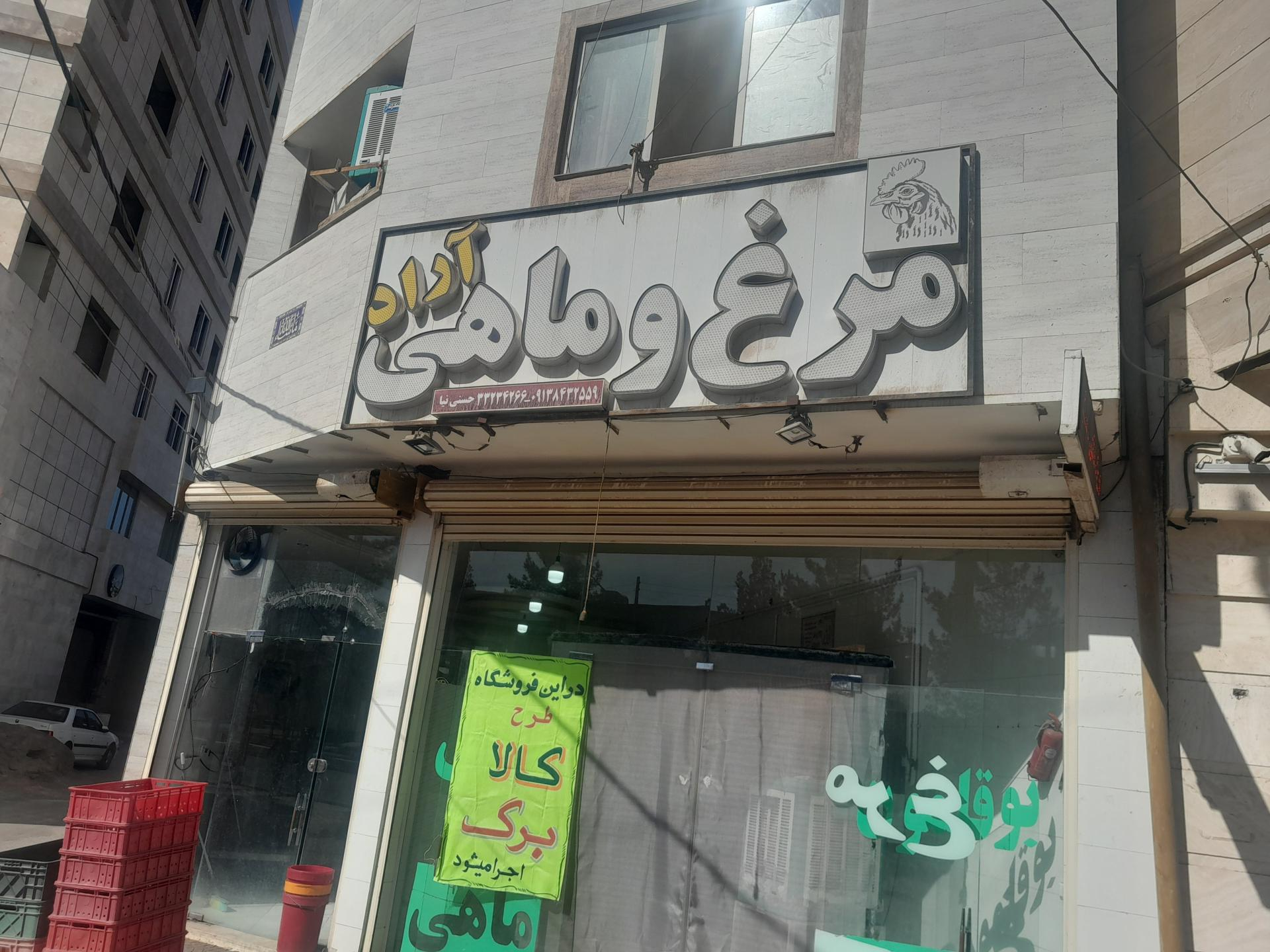 عکس مرغ و ماهی آراد