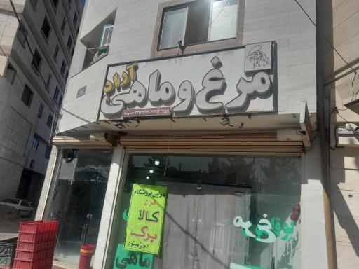 عکس مرغ و ماهی آراد