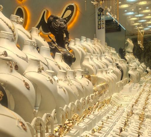 عکس طلای صدف جارچی