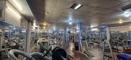 عکس باشگاه ورزشی کیان