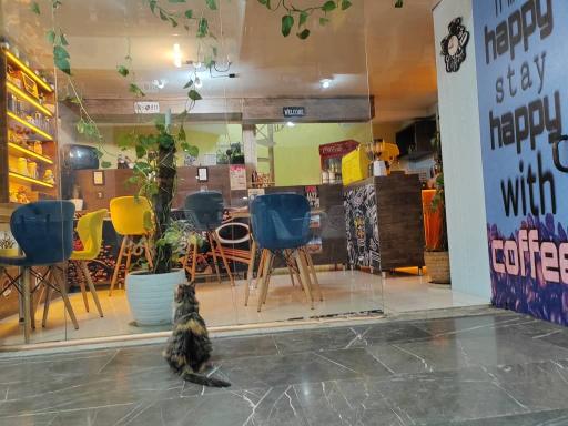 عکس کافه ترید