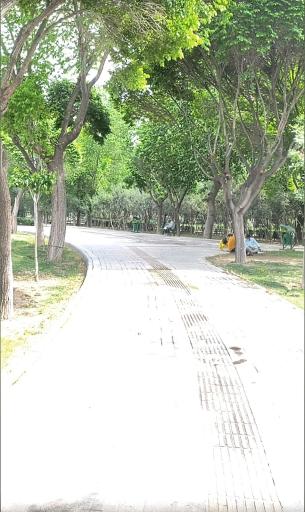 عکس بوستان ولیعصر