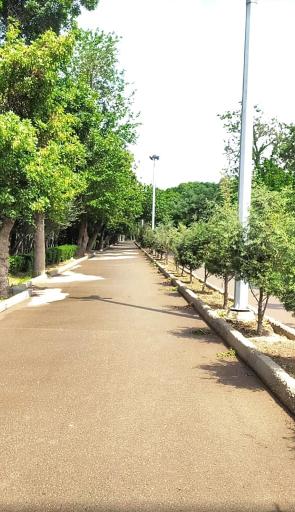 عکس بوستان ولیعصر