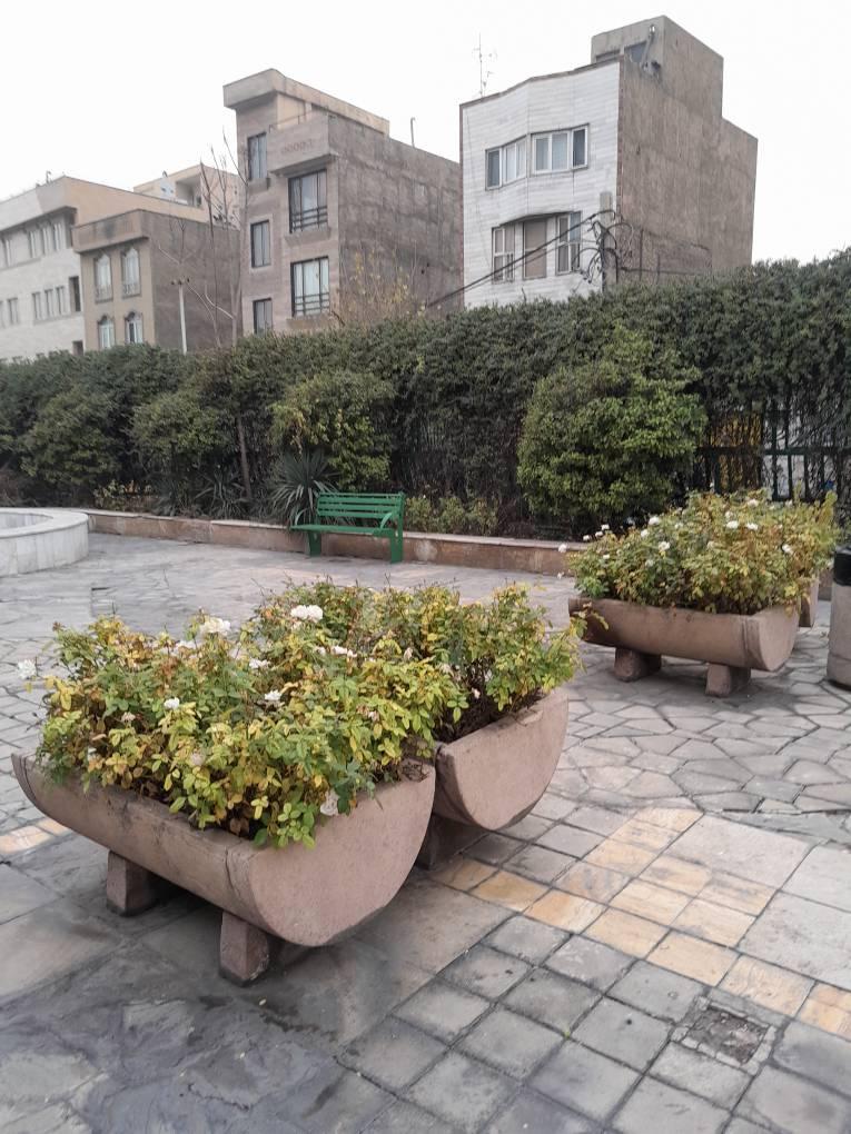 عکس بوستان پاتوق