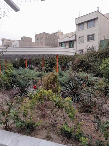 عکس بوستان پاتوق