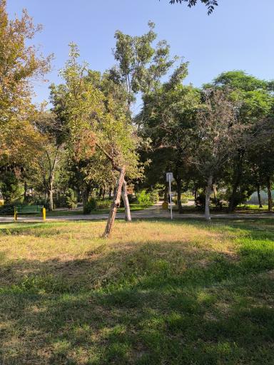 عکس بوستان ولیعصر