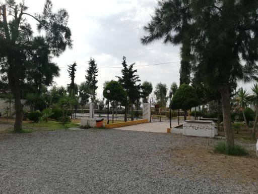 عکس متل بهروز