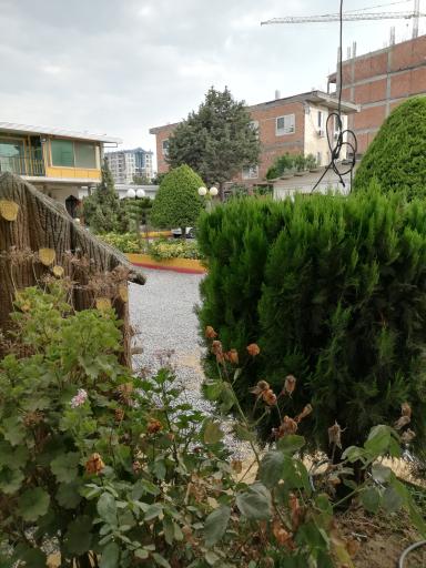 عکس متل بهروز