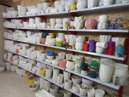 عکس گلستان گل