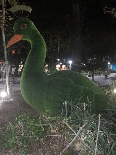 عکس پارک سرچشمه