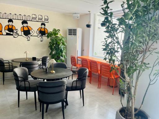 عکس کافه سایه