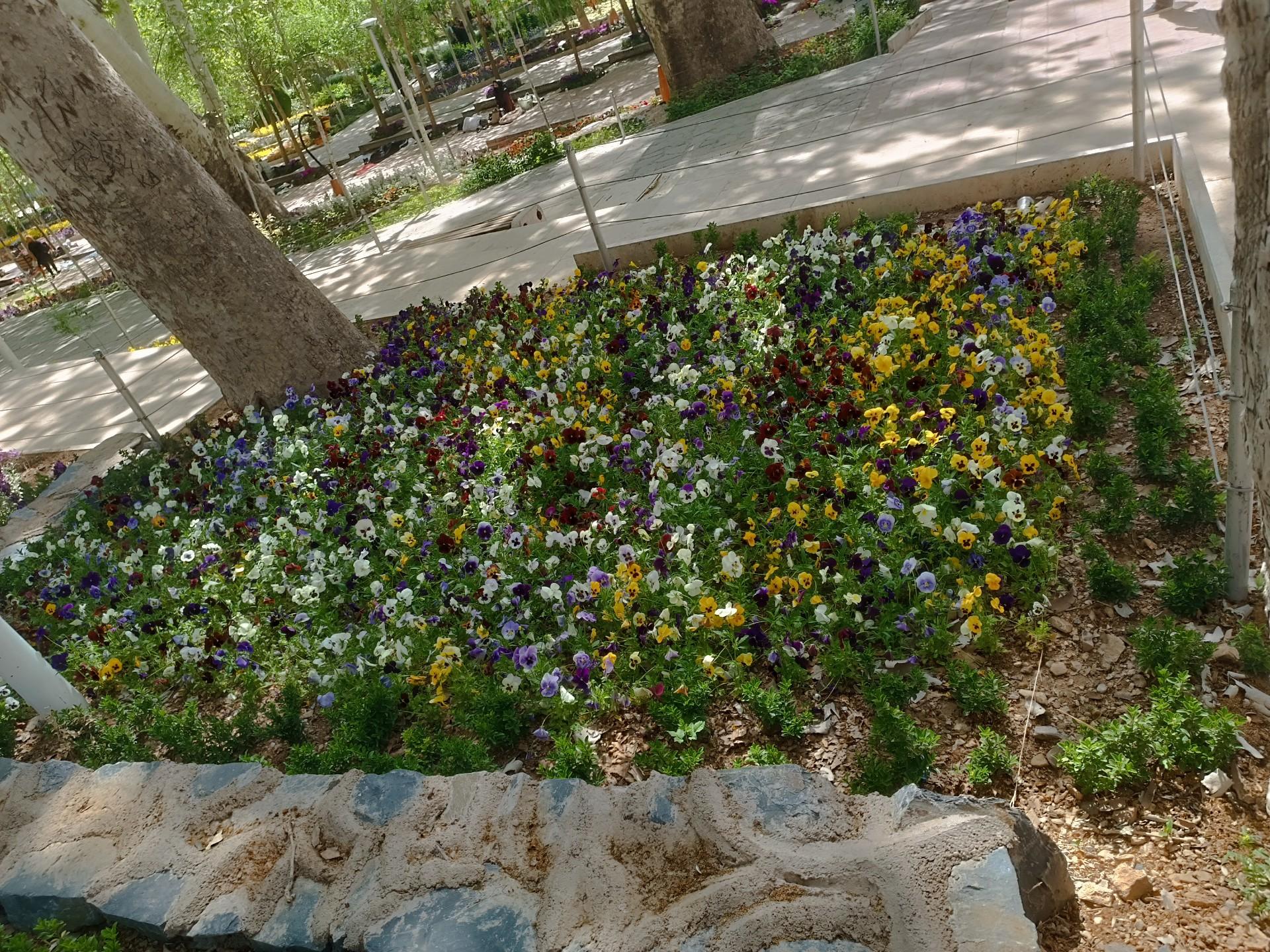 عکس پارک سرچشمه