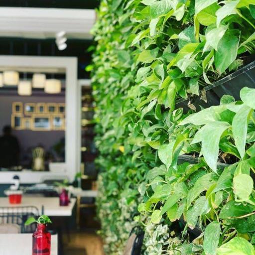 عکس کافه گیاه