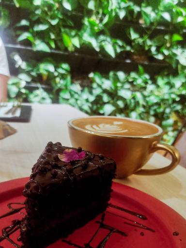 عکس کافه گیاه