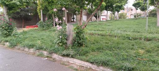 عکس فضای سبز