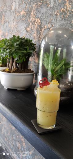 عکس کافه سوشا