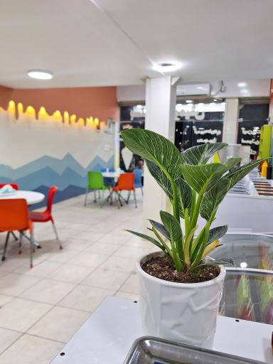 عکس بستنی دنیز