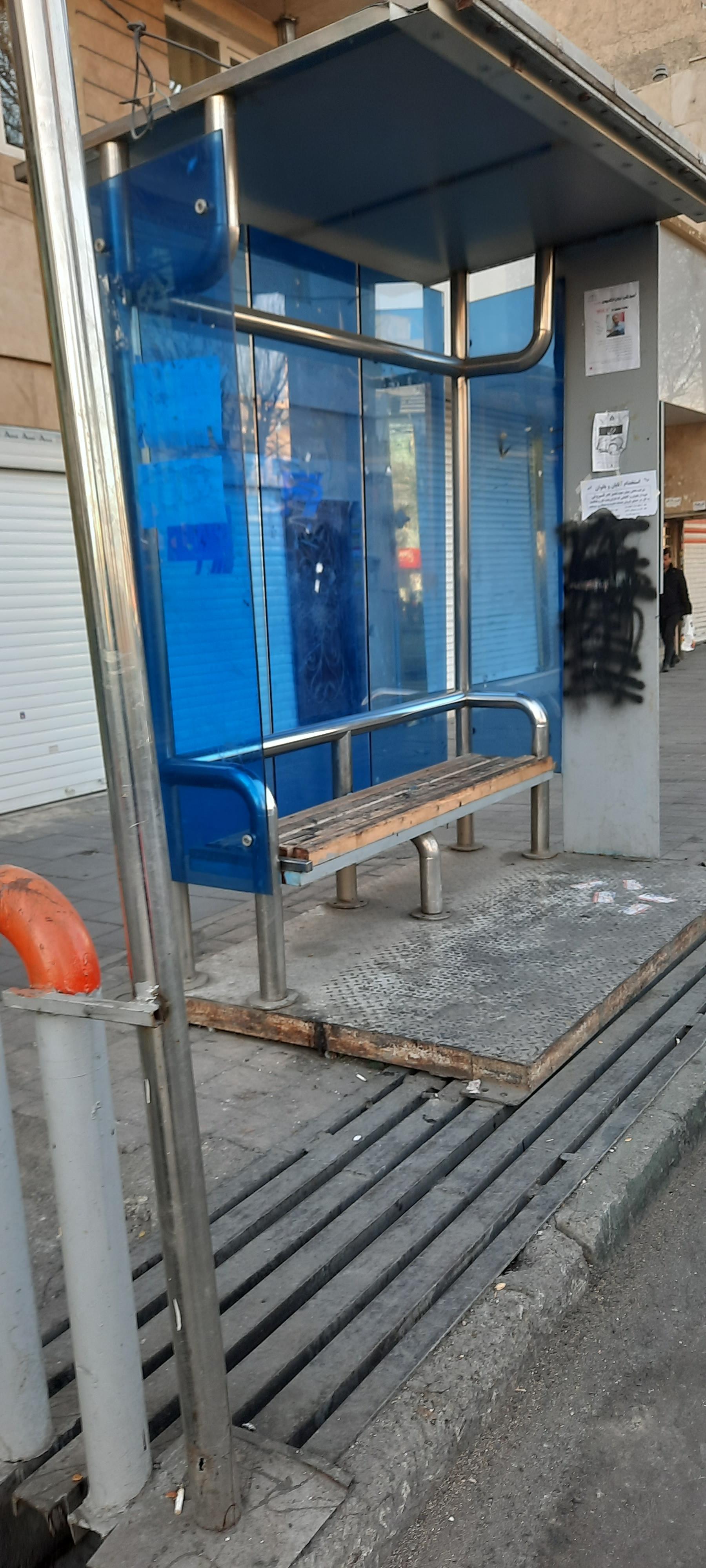 عکس یاس جنوبی