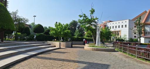 عکس آبنمای پارک ملت