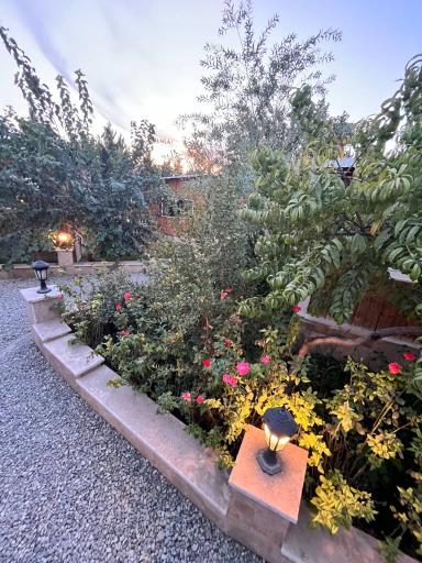 عکس باغ رستوران رزماری