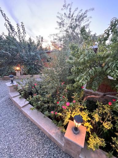 عکس باغ رستوران رزماری