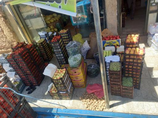 عکس میوه سرای شاهد