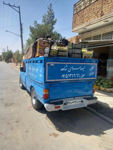 عکس میوه سرای شاهد