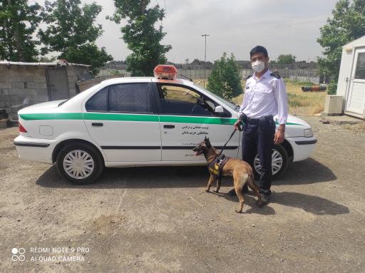 عکس موسسه حفاظتی و مراقبتی محافظین حریم سامان