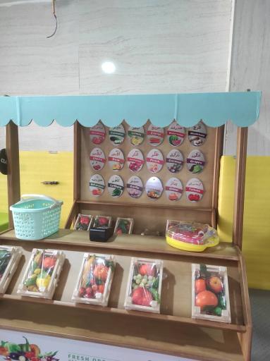 عکس خانه بازی آراد