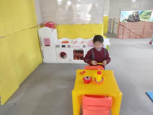 عکس خانه بازی آراد