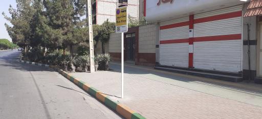 عکس  آموزگار 17