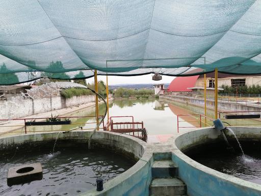 عکس رستوران ماهی سرای قزل