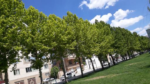 عکس بوستان شبدیز