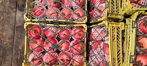 عکس آبمیوه طبیعی شاد