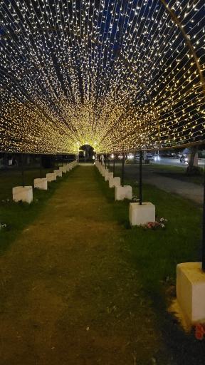 عکس بوستان شبدیز