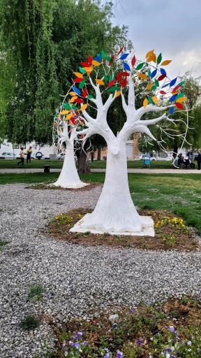 عکس بوستان شبدیز