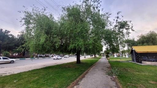 عکس بوستان شبدیز