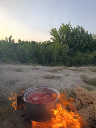 عکس نهالستان مهندس ارزه گر